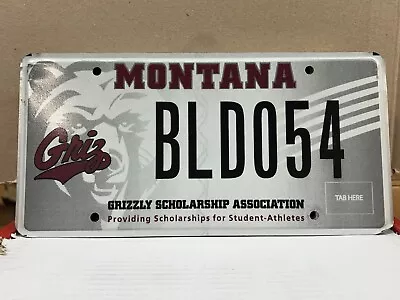 Grizzly Scholarship Association Montana License Plate • $2.50