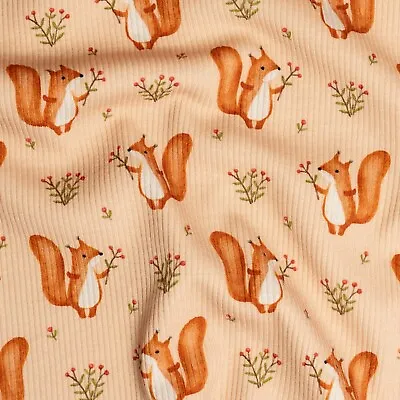 Fine Rib Knit Jersey Fabric Squirrels Fabric Animal Patterned Stretch Fabric • £8