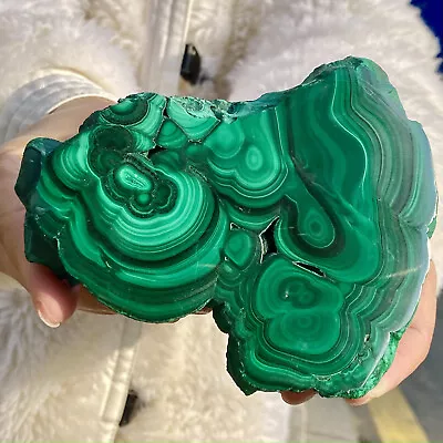 435G Natural Malachite Slice Quartz Crystal Luster Mineral Specimen • $0.99