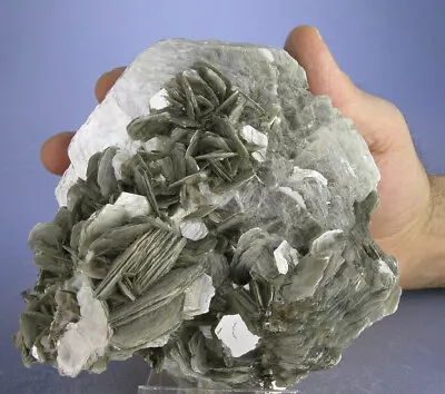 Gorgeous 2+ Lb Shiny Silver Muscovite Crystals  Flower  Brazil Globe Minerals • $145