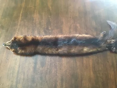 Vtg Mink Full Pelts Connecting Tails Feet Mouth Clip Miller And Rhoads • $45