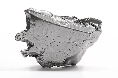 Aletai Iron Meteorite Crystal: 7.3g • $9.15