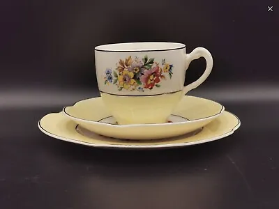 £20 • Buy Vintage Johnson Bros, Pareek China Trio Tea / Coffee Cup, Saucer & Side Plate