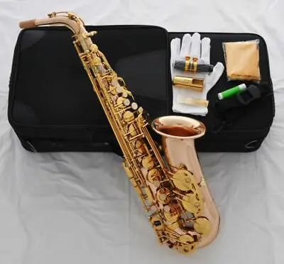 NEW Professional 54 Reference Alto Saxophone Rose Brass Sax WAS-663 • $845