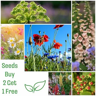 £2.85 • Buy Multi Listing Flower Seeds - Hardy Annual Perennial Biennial Seed  -  UK GROWN