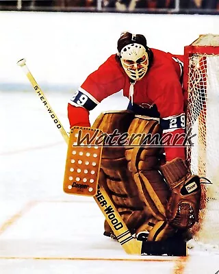 NHL 1972 - 73 Montreal Canadiens Ken Dryden Game Action Color 8 X 10 Photo Pic • $5.99