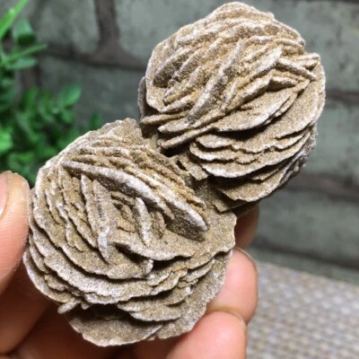 $13.30 • Buy 71g DESERT ROSE SELENITE Specimen Crystal Stone Mineral Cluster A6339