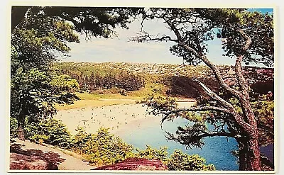  Sand Beach From Ocean Drive Postcard Mt. Desert Island Maine • $6.99