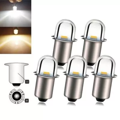 P13.5S Flashlight LED Bulb DC 3V/4.5V/6V/12V/18V/24V 6000K/3000K Warm/cool Light • $1.59