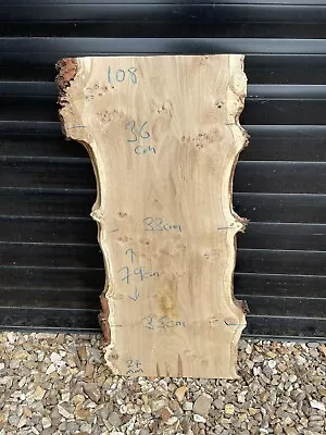 Oak  Burr Oak  Kiln Dried Live Edge Planed Hardwood 79 X 33cm  X 24mm • £48