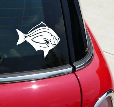 £2.89 • Buy Surf Perch Fish Fishing Bait Graphic Decal Sticker Art Car Wall Decor