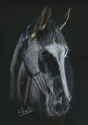 Original Black Horse Portrait On Black Paper Coloured Pencil Drawing • £295
