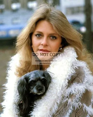 Actress Lindsay Wagner With K-9 Friend Dog - 8x10 Publicity Photo (bt789) • $8.87