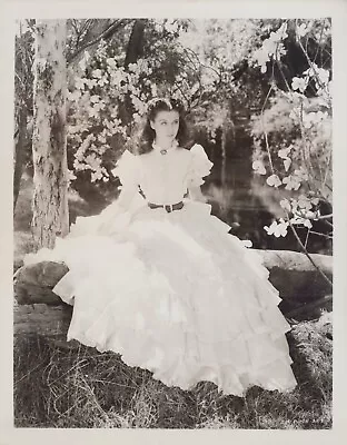 HOLLYWOOD BEAUTY VIVIEN LEIGH In GONE WIND STUNNING PORTRAIT 1950s Photo C22 • $49.99