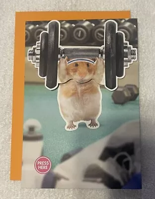 Hallmark Birthday Card ~ Cute Hamster Pumping Iron To Eye Of The Tiger Song • $7.99