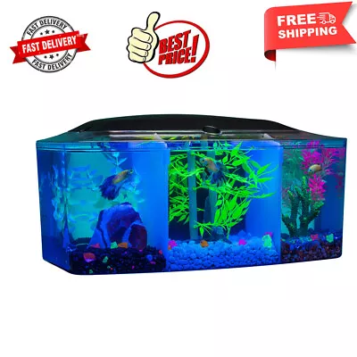 3 Gallon Betta Trilogy Fish Tank Aquarium With LED Lights And Filter Water Tank • $115.49