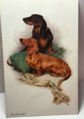 DACHSHUND DOG Pair By ARTHUR WARDLE  Artist Drawn C 1910s POSTCARD 17/1 • £4.75