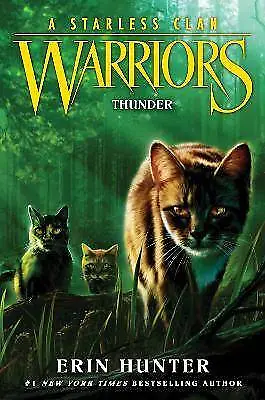 Warriors: A Starless Clan #4: Thunder Erin Hunter • £12.80
