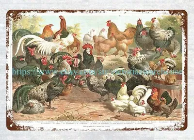 1893 CHICKEN ROOSTER BREEDS German Metal Tin Sign Rusty Replicas Wall Decals • $18.95