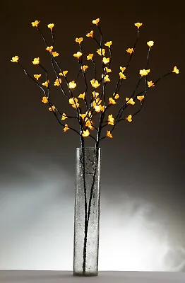 £19.99 • Buy Cherry Blossom Amber Twig Branch Light, Warm LED Lights With Plug-in Power