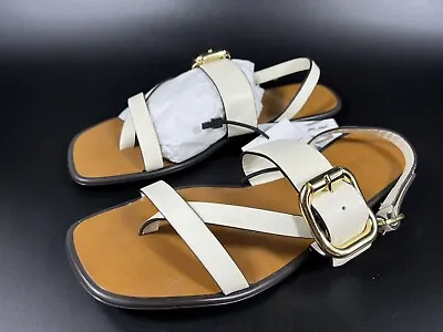 ZARA Womens Buckled Flat Leather Sandals In White US SIZE 6.5 • $58
