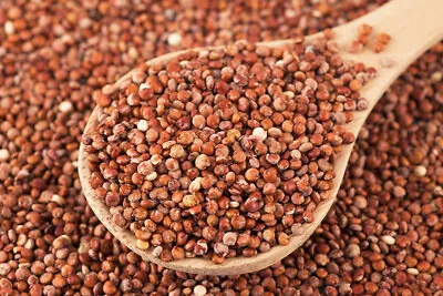 Organic Red Quinoa 500g-25kg (Sussex Wholefoods) • £128.51