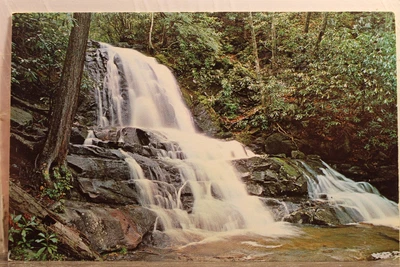 $0.50 • Buy Great Smoky Mountains National Park Laurel Falls Postcard Old Vintage Card View