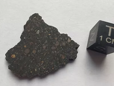 Meteorite NWA 16598 Chondrite CV3 Slice 2.9 Grams • £1