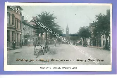 EARLY 1905 MAENGWYN STREET MACHYNLLETH POWYS Montgomeryshire CHRISTMAS POSTCARD • £1.99