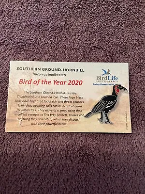 Not RSPB BirdLife South Africa Pin Badge BOTY 2020 Southern Ground-Hornbill • £9.99