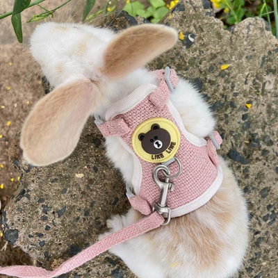 £4.99 • Buy Small Animal Vest Pet Rabbit Rat Vest Clothes Mesh Lead Harness With Leash