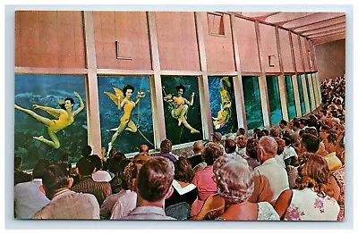 Postcard Weeki Wachee Mermaids Underwater Theatre Performance Florida • $6.95