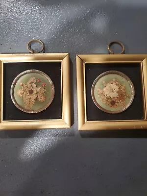 Vtg 2 Miniature Pictures Hopkins Designs Framed Real Virginia Flowers 4.25  Sq. • $25