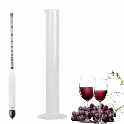 Hydrometer Tester Vintage Measuring Bottle Set Tools Alcoholmeter Alcohol M_~~ • $10.03