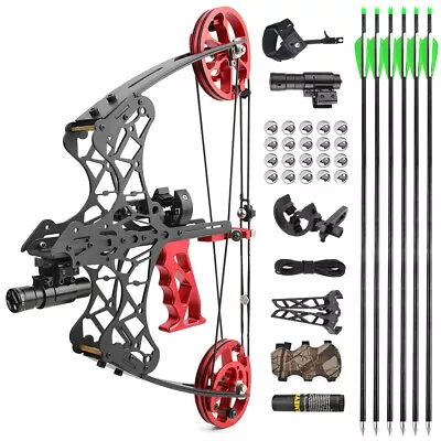 18  Mini Compound Bow 45lbs Dual-use Steel Ball Arrows Archery Fishing Hunting • £156.10