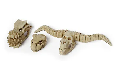 Monster Hunter Skulls  Series One  PETIT SIZE • $35