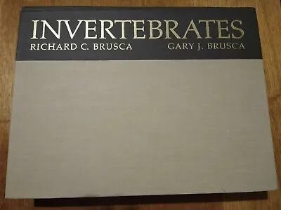 BRUSCA:INVERTEBRATES By Brusca Richard C. Brusca G... | Excellent Condition • £15