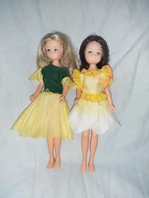 Hornby 1980’s Flower Fairy Fairies X 2 Vintage Dolls • £14.99