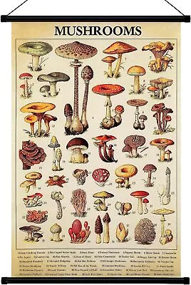 Vintage Mushroom Poster Fungus Wall Art Prints Rustic Mushroom Wall Hanging • $15.80