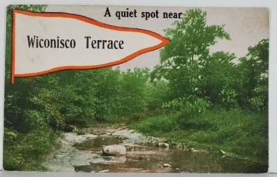 PA Quiet Spot Near WISCONISCO TERRACE 1914 Millersburg To Herndon Postcard Q10 • $11.95