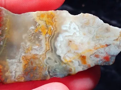 Mexican Crazy Lace Agate Rough End High Grade • $4.99