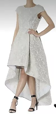 Carla Zampatti Silver Renaissance Brocade Gown Size 4 BNWT • $120