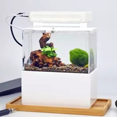 Mini Plastic Fish Tank Portable Desktop Aquaponic Aquarium Betta Fish Bowl With  • £118.73