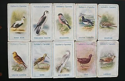 10 Gallaher British Birds By George Rankin  Cigarette Cards (c) • £2.50