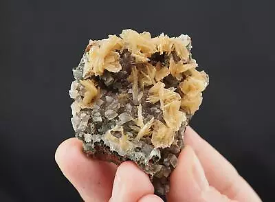 Barite Crystals With Calcite And Mottramite From Ojuela Mine Mexico - 53mm X • $75