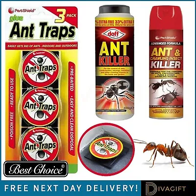Ant Killer Spray Powder Traps Bug Wasp Nest Foam Fly Spider Woodlice  Moth New • £5.35
