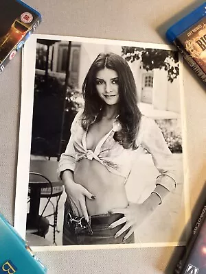 Victoria Principal 10x8 Vintage  Photo  Press • $37.29