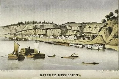 Great Cities On The Mississippi River *2x3 Fridge Magnet* Town Natchez Township • $8.95