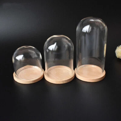 £2.89 • Buy Glass Dome Display Bell Jar Cloche Wooden Base Figure Action Doll Storage Decor