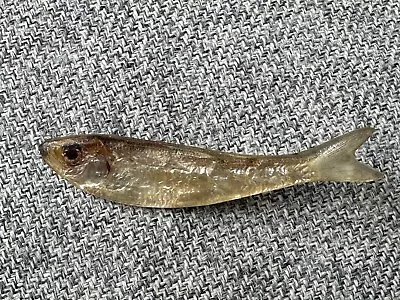 Vintage K. Loeber 1981 Real Minnow Fish Brooch Pin • $30